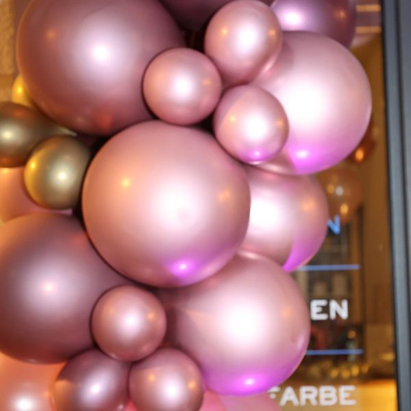 9367b6ff-bc57-49a4-8abe-15d9ed3a6d0c