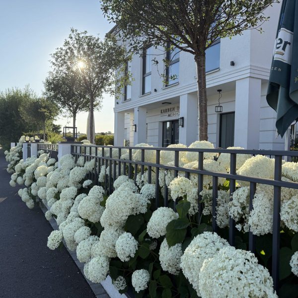 Karben Design Academy Outdoor Terrasse