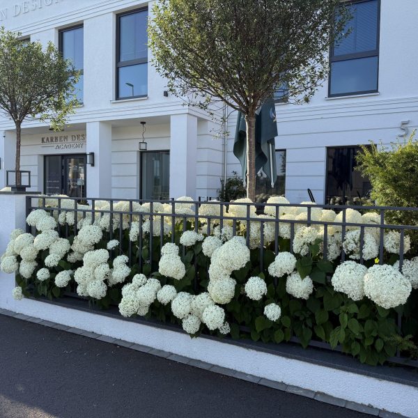 Karben Design Academy Outdoor Terrasse